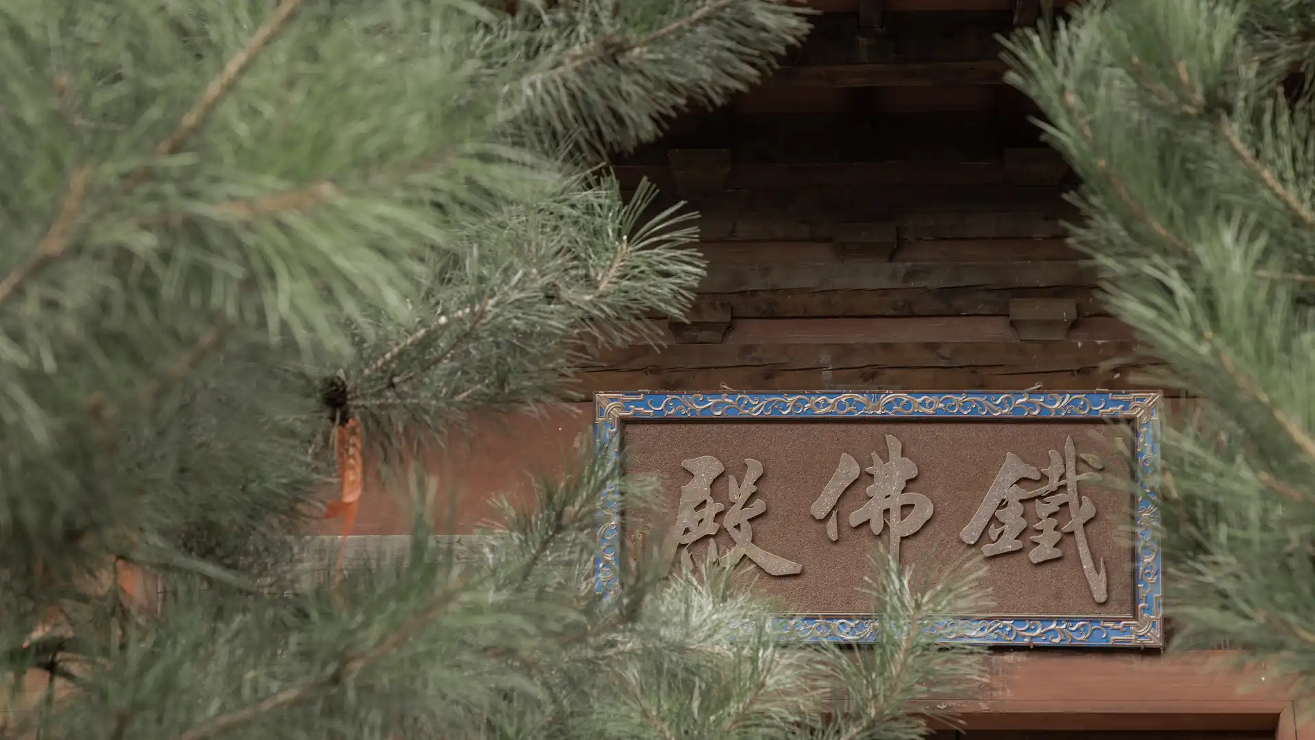 Hotels near Iron Buddha Palace in Mengshan Mountain