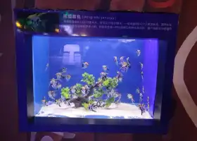 漯河海洋館