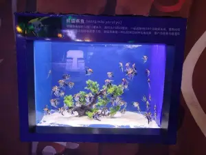 漯河海洋館