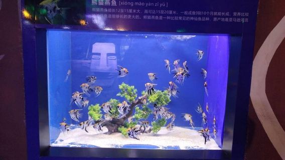 Luohe Aquarium