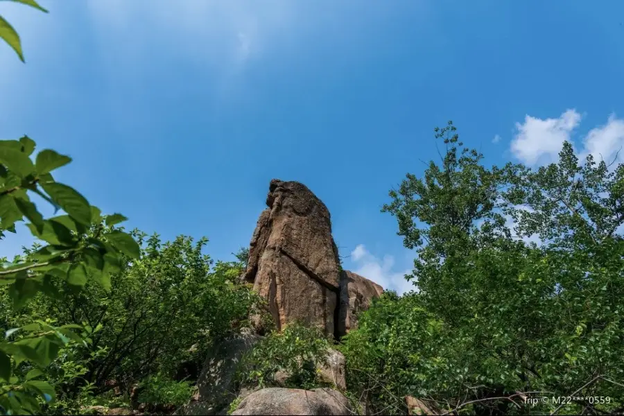 花花浪森林公園