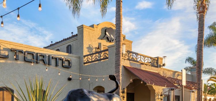 El Torito