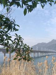 Sandu Bridge