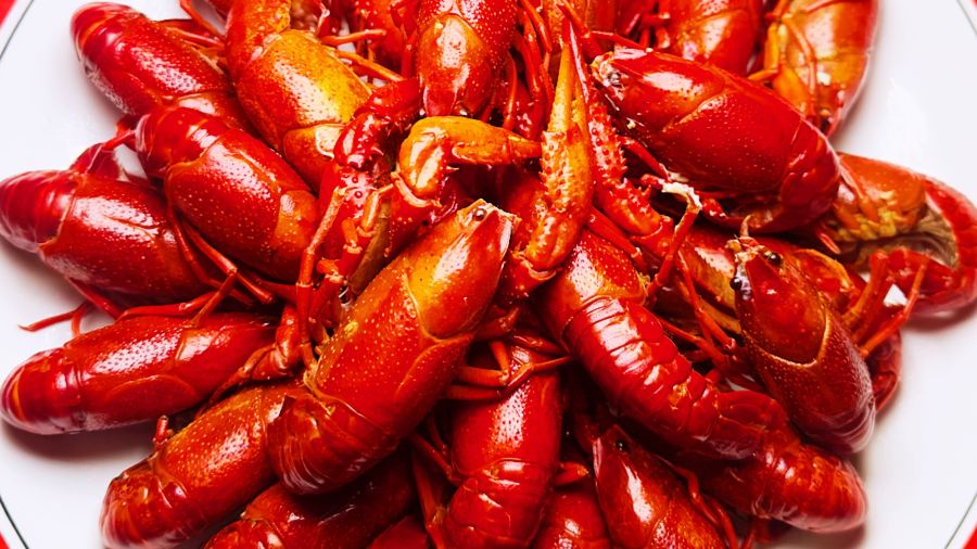 大洪山烧烤(碧桂园店)