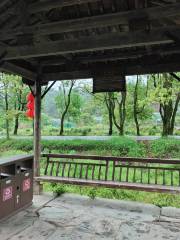 Zhongshu Bridge