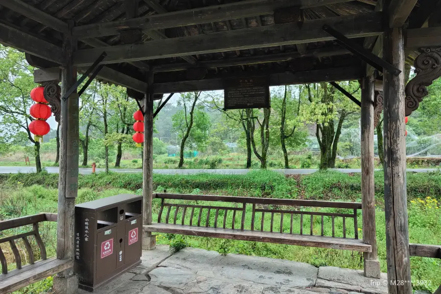 Zhongshu Bridge