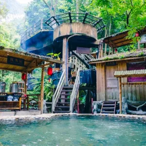樹上湯泉