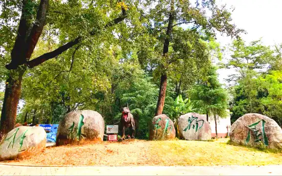 鄰近桂林動物園的酒店