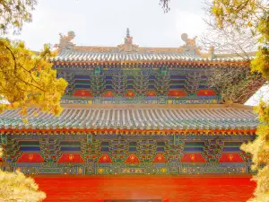 Putuoshan Religious Culture Scenic Area
