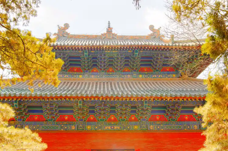 Hotels in Dongshan District