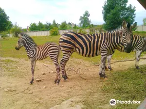 Giardino zoologico di Košice