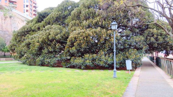 Giardini Pubblici Cagliari