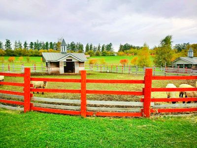 Farms Chiyoda