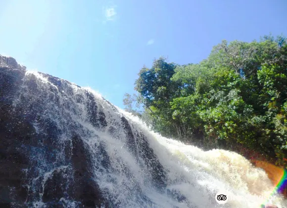 普魯斯登特菲格雷多