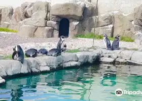 Exploris Aquarium