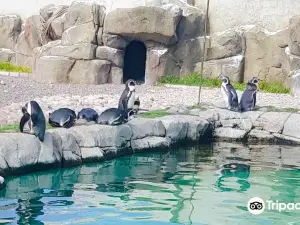 Exploris Aquarium
