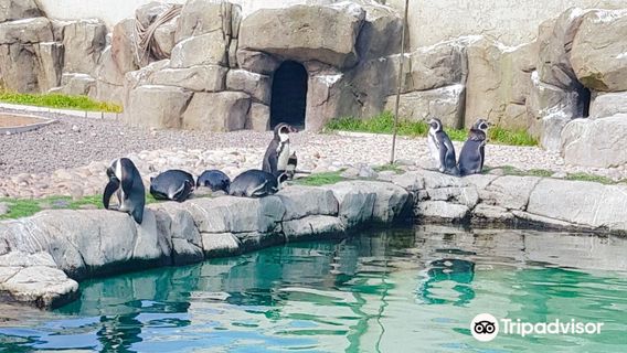 Exploris Aquarium
