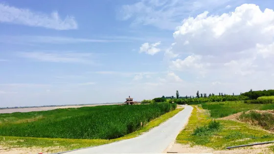 黃河外灘國家濕地公園
