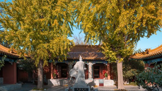 徐州龜山漢墓+徐州漢文化設施+戶山一日遊【包車團】