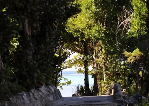 Fall Viewing Attractions