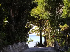 Popular Fall Viewing Attractions in Kunigami District