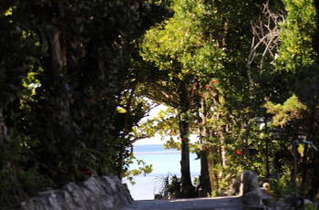 Popular Fall Viewing Attractions in Okinawa Prefecture