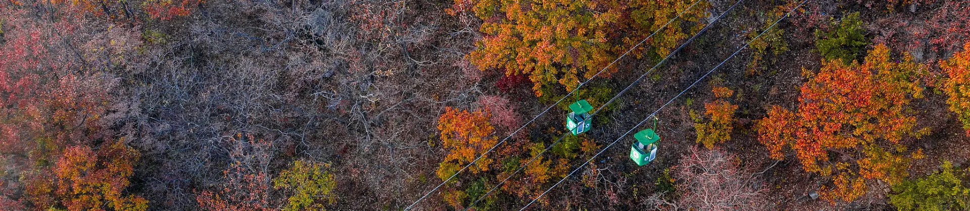 Fall Viewing Attractions
