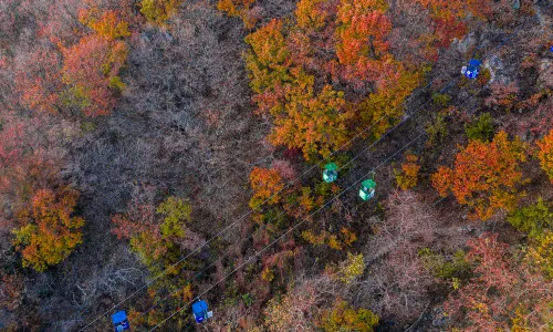 화구워산(화과산)
