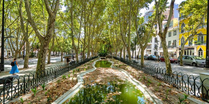 Avenida da Liberdade
