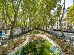 Avenida da Liberdade