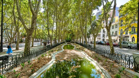 Avenida da Liberdade attraction in Lisbon
