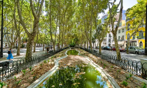 Avenida da Liberdade