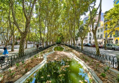 Avenida da Liberdade