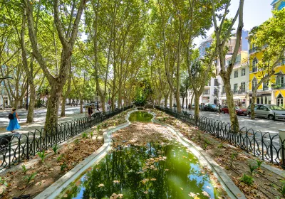 Avenida da Liberdade
