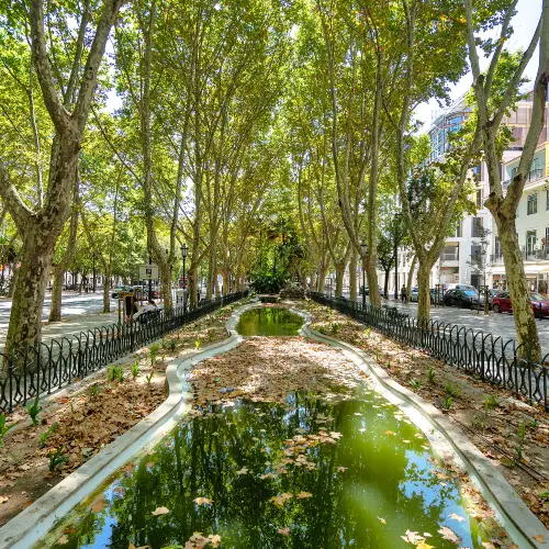 Av. da Liberdade
