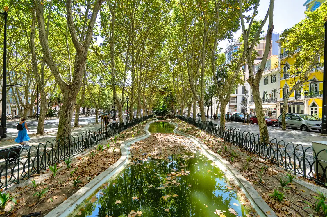 Hotels near Avenida da Liberdade