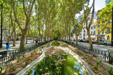 Avenida da Liberdade