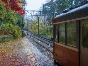 Fall Leaves Viewing in Hakone