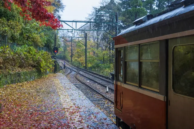 การชมใบไม้เปลี่ยนสีที่ฮาโกเน่