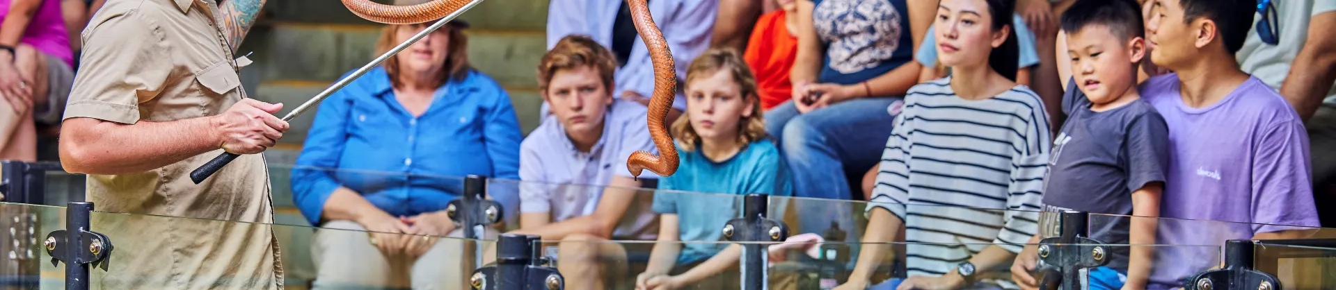Sehenswerte Attraktionen