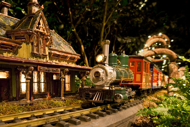 Holiday Train Show | New York