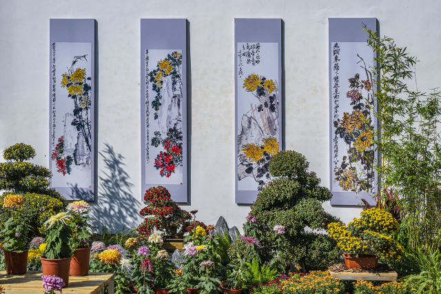 【武漢】第41屆武漢金秋菊展 | 漢口江灘-風帆廣場