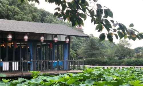 钰湘宴·剁椒鱼头王(岳麓望月公园店)