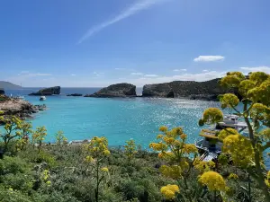 Comino