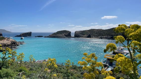 Comino