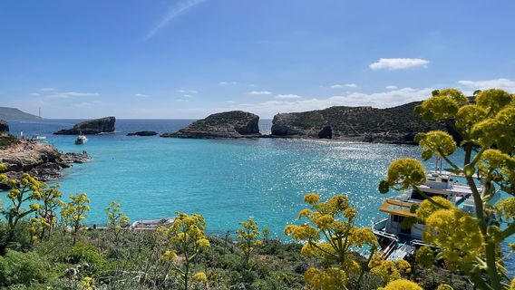Comino