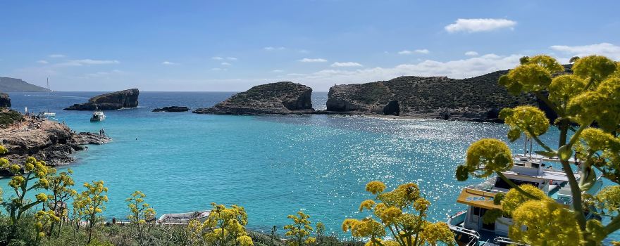 Comino