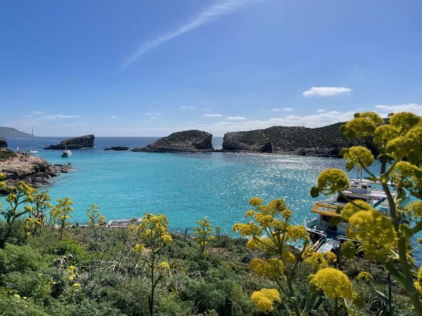 Comino