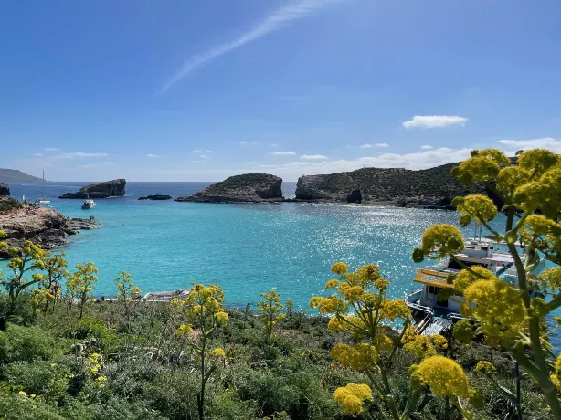 Comino