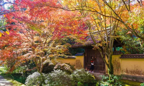 唐招提寺